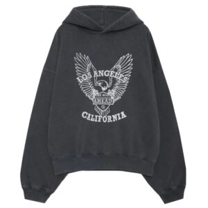 Front view of ANINE BING ALEC HOODIE in washed black.