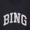 Bradie-Sweatshirt-Bing