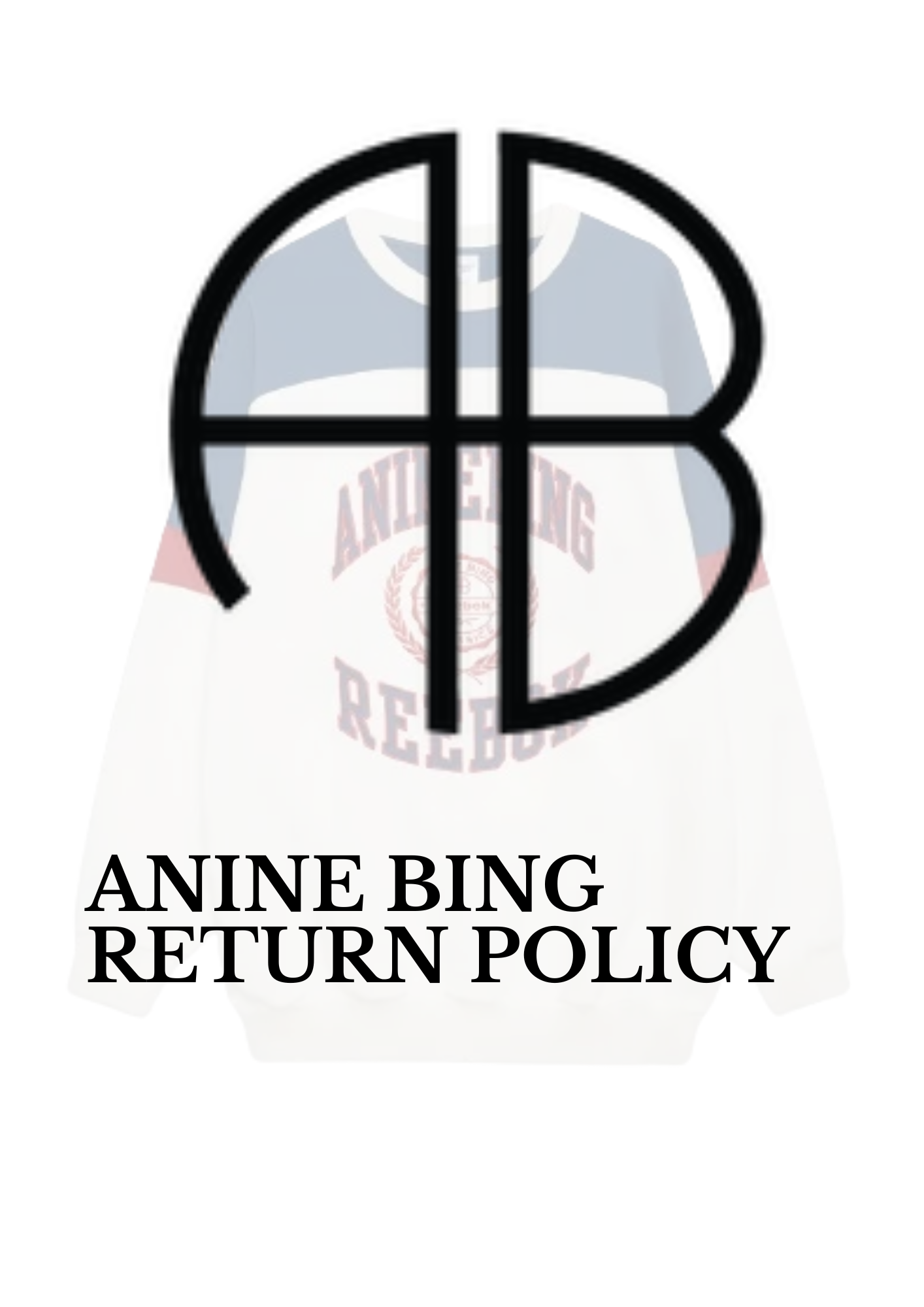 Anine-Bing-Returns
