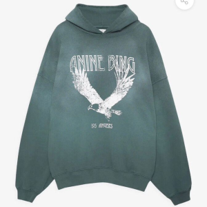 Anine-Bing-Eagle-Hoodie