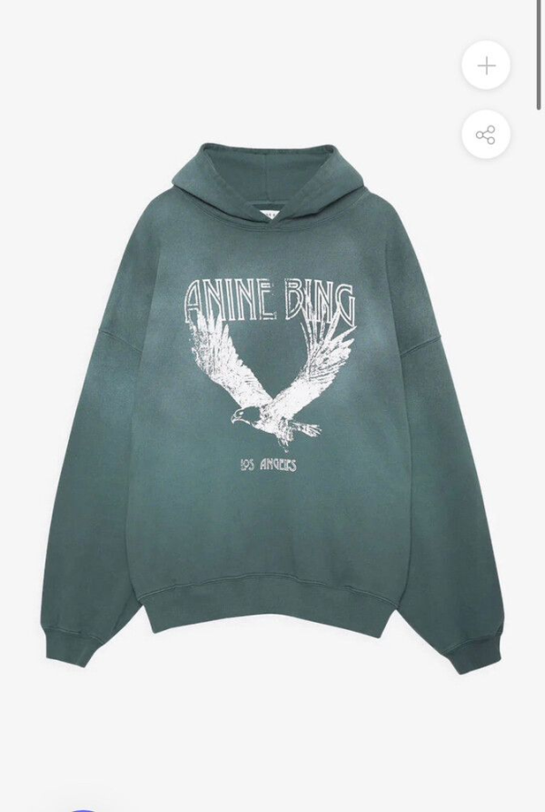 Anine-Bing-Eagle-Hoodie