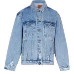 Anine Bing Janet Denim Jacket