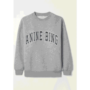 Anine bing vintage sweatshirt