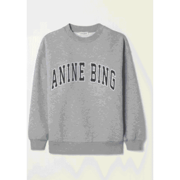 Anine bing vintage sweatshirt Anine bing vintage sweatshirt