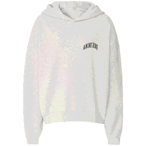 Anine Bing Hooded Sweatshirt